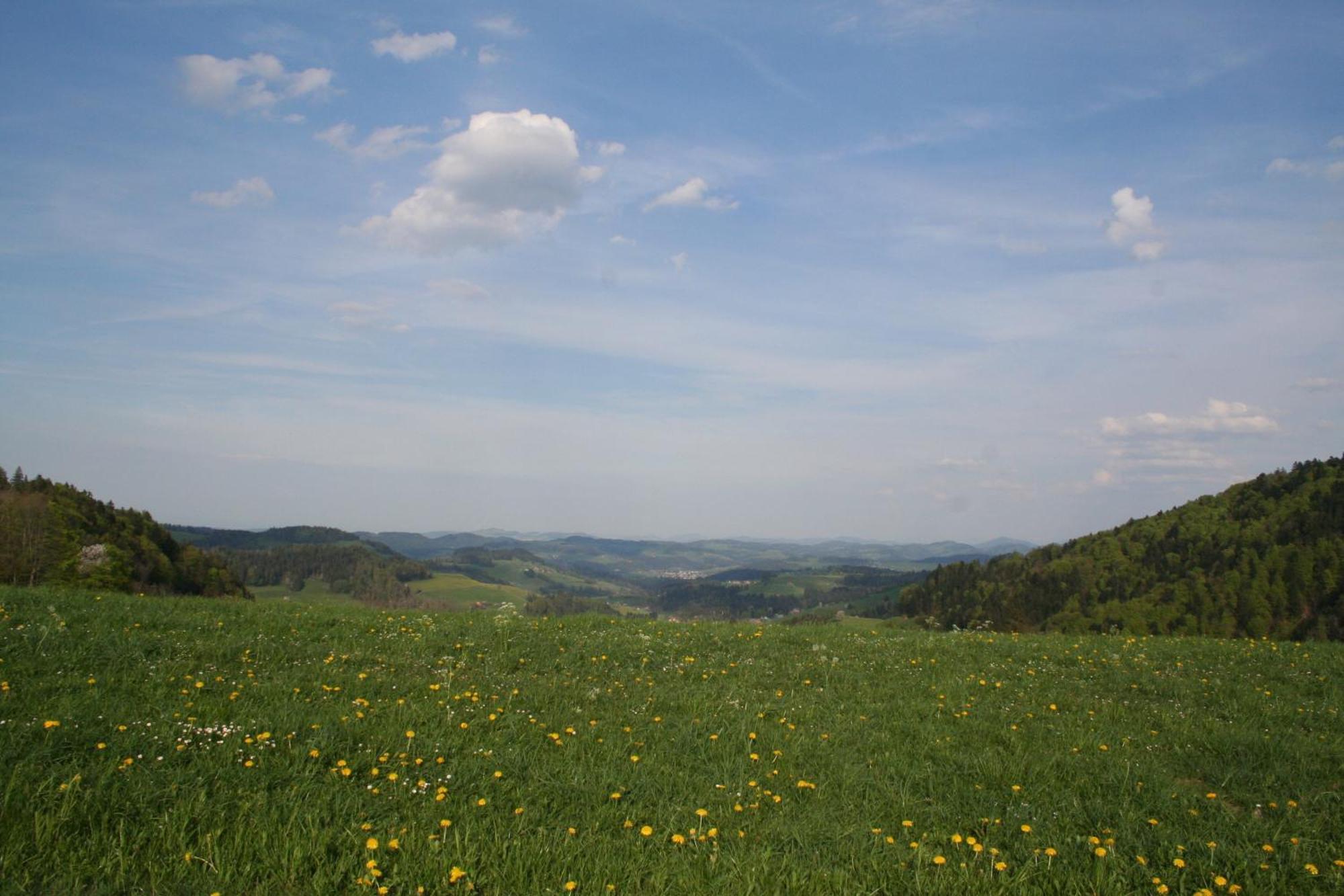 Apartment Hulfteggpass Mühlrüti Esterno foto